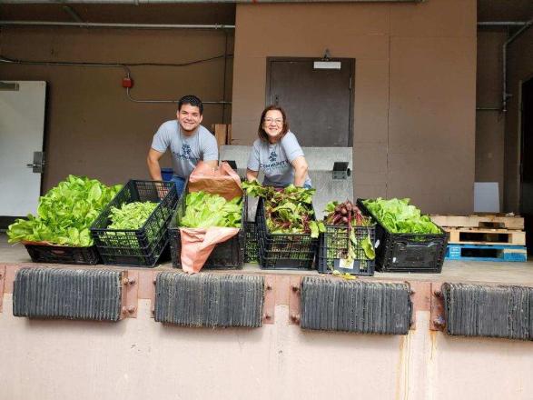 Two smiling people standing behind a table on which there are six bins of green vegetables