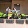 Two smiling people standing behind a table on which there are six bins of green vegetables